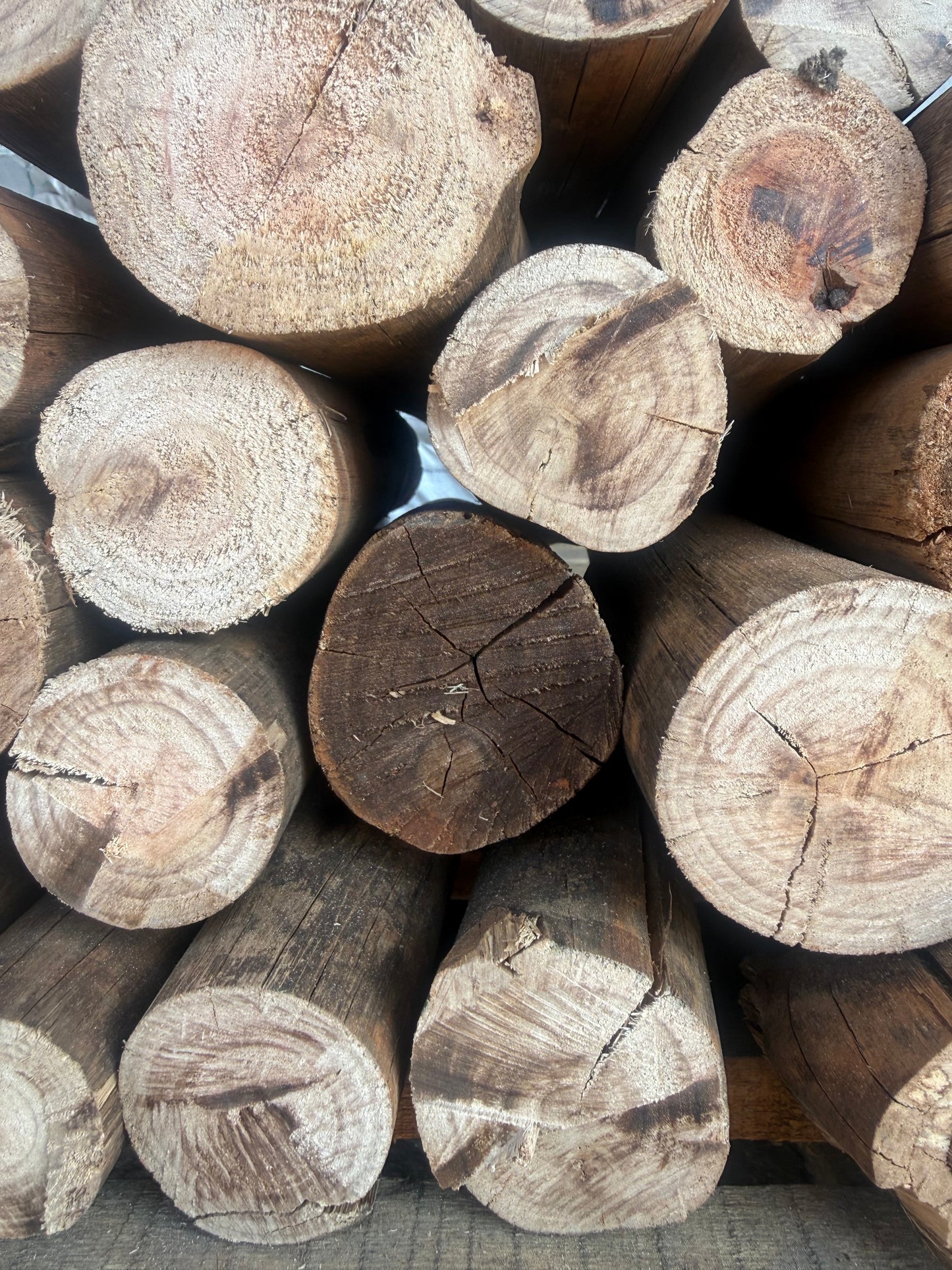 Blue/Red gum firewood